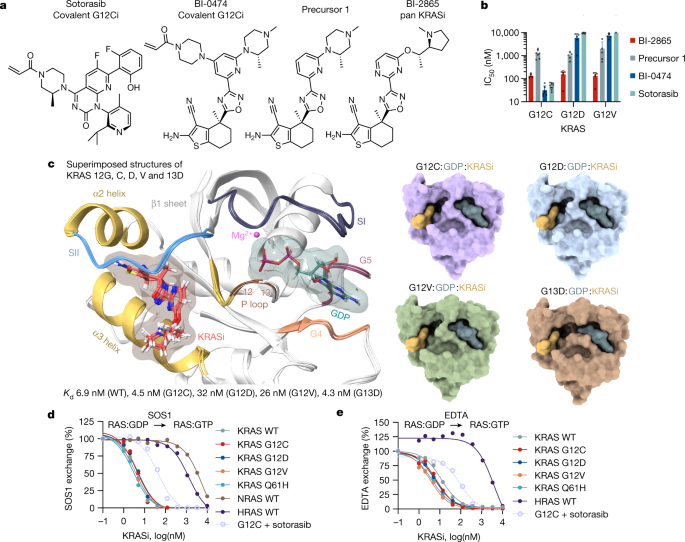 https://media.springernature.com/m685/springer-static/image/art%3A10.1038%2Fs41586-023-06123-3/MediaObjects/41586_2023_6123_Fig1_HTML.png