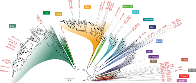 Uncovering Life's Third Domain: The Discovery of Archaea, Exhibits