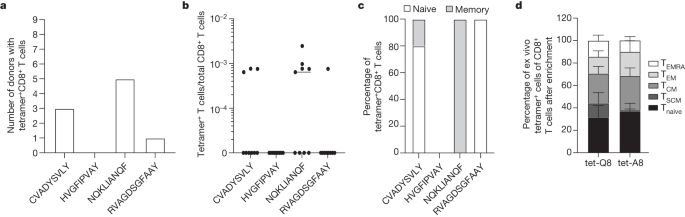 A common allele of HLA is associated with asymptomatic SARS-CoV-2 infection - Nature
