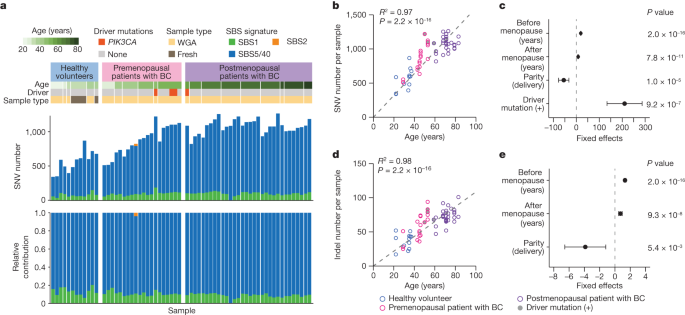 Figure 1 from Breast disorders in pregnant and lactating women