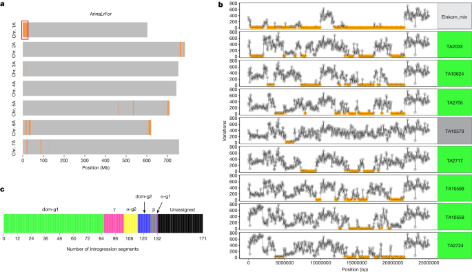 Proposal For Phylogenic Classification, Advances Bread Clip Science