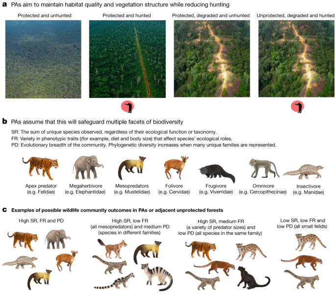 Landscape-scale benefits of protected areas for tropical biodiversity |  Nature