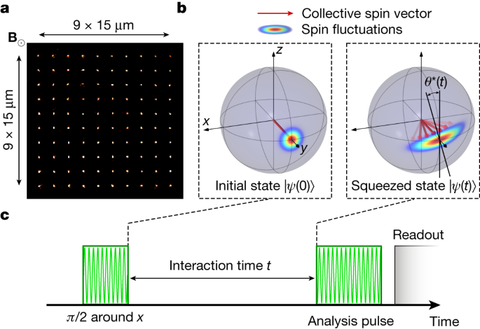 Scalable spin squeezing in a dipolar Rydberg atom array | Nature