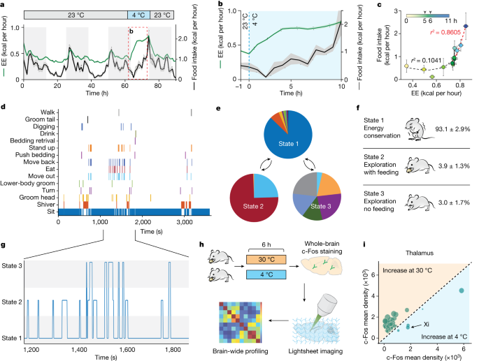 https://media.springernature.com/m685/springer-static/image/art%3A10.1038%2Fs41586-023-06430-9/MediaObjects/41586_2023_6430_Fig1_HTML.png