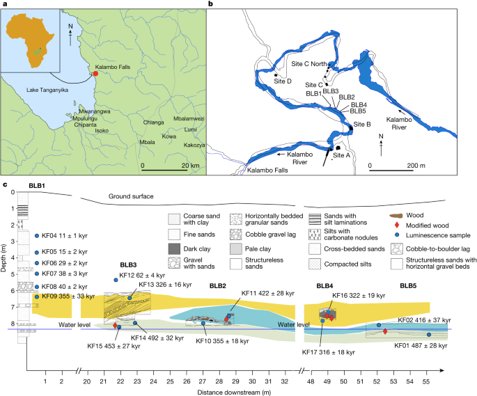 World's oldest known wooden structure found in Zambia