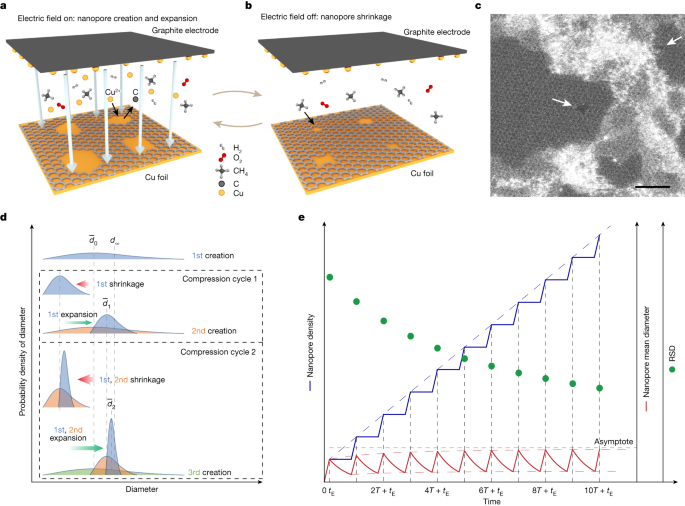 Cascaded compression of size distribution of nanopores in ...
