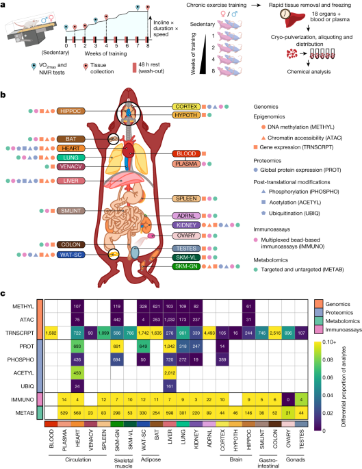                               Nature                          volume  629, pages  174–183 (2024 )Cite this article                      Regular ex