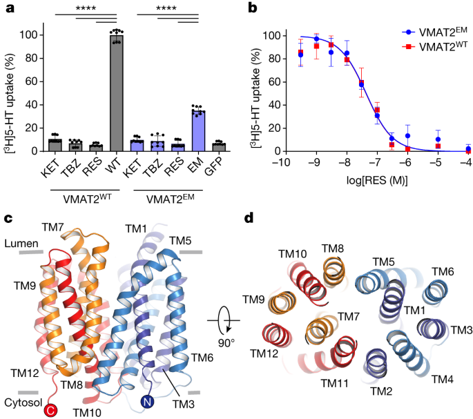 2016 K2 244 + マーカーcomp12.0 K2 ケーツー スキー板 メンズ レディース＜2026＞244 [S200305101] +