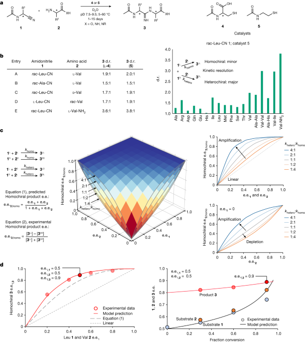 Symmetry breaking and chiral amplification in prebiotic ligation reactions - Nature.com