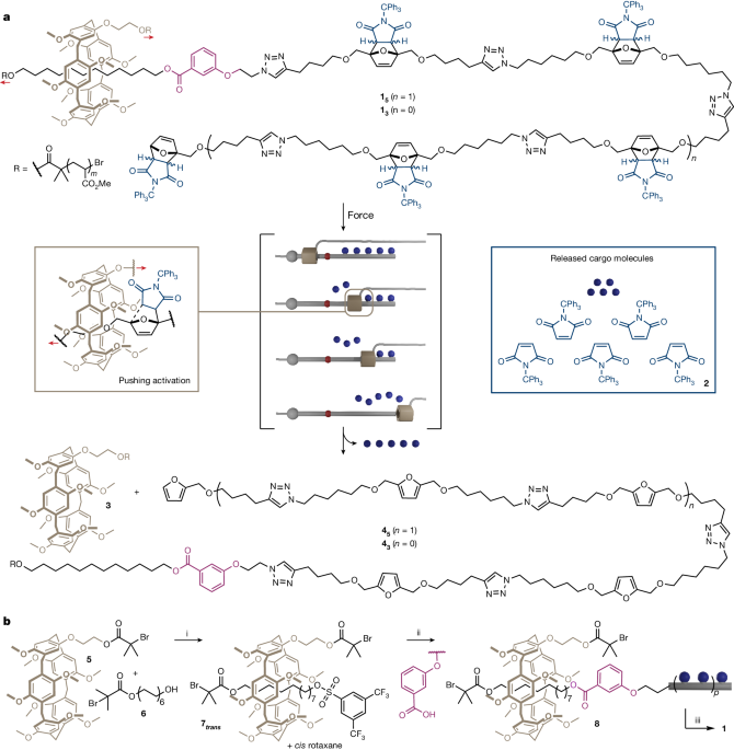 Force-controlled release of small molecules with a rotaxane actuator - Nature