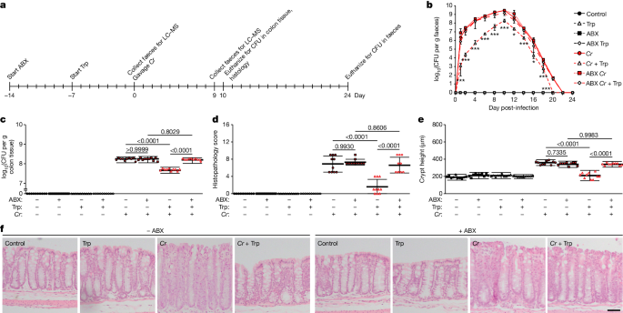 Dopamine receptor D2 confers colonization resistance via microbial metabolites