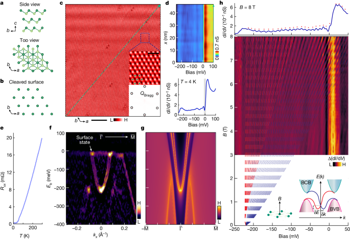 A hybrid topological quantum state in an elemental solid