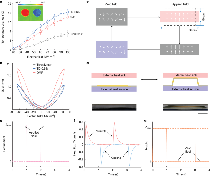 Self-oscillating polymeric refrigerator with high energy efficiency - Nature