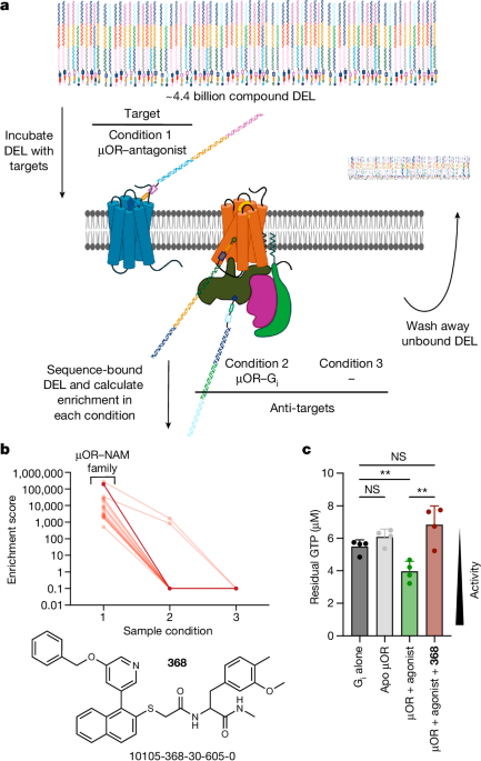 A µ-opioid receptor modulator that works cooperatively with naloxone - Nature