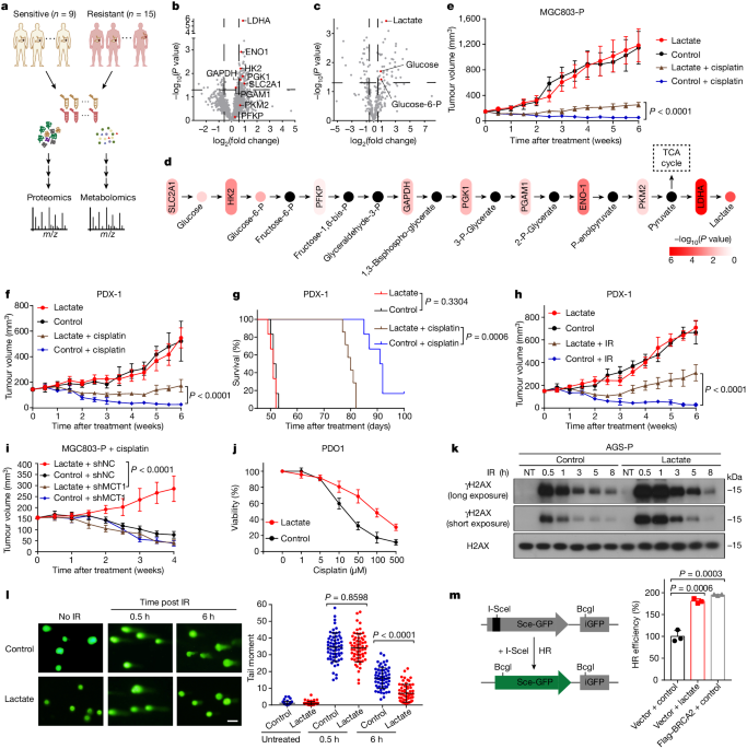 NBS1 lactylation is required for efficient DNA repair and chemotherapy resistance - Nature