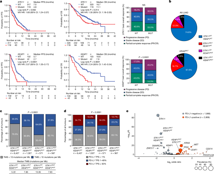 CTLA4 blockade abrogates KEAP1/STK11-related resistance to PD-(L)1 inhibitors – Nature