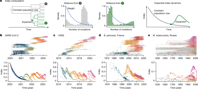 Learning the fitness dynamics of pathogens from phylogenies – Nature