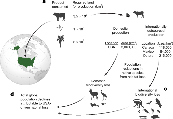 Perda global de biodiversidade devido ao desmatamento terceirizado