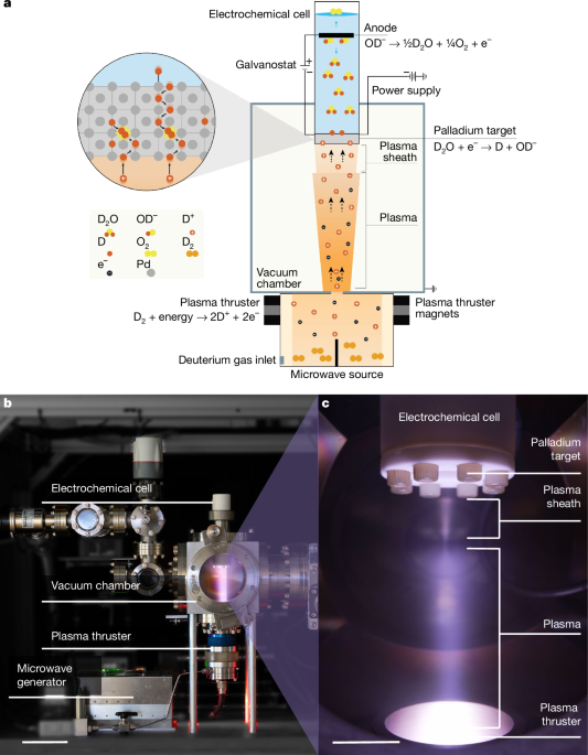 Electrochemical loading enhances deuterium fusion rates in a metal target