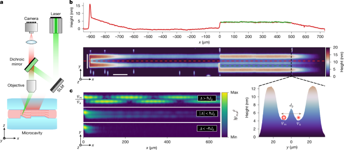 Energy–speed relationship of quantum particles challenges Bohmian mechanics