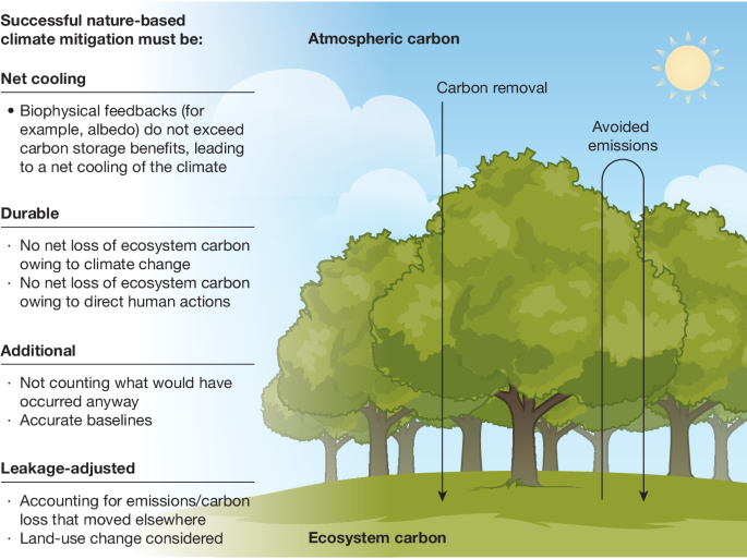 Towards more effective nature-based climate solutions in global forests