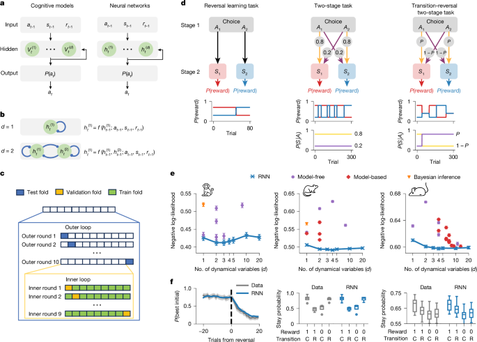 Discovering cognitive strategies with tiny recurrent neural networks – Nature