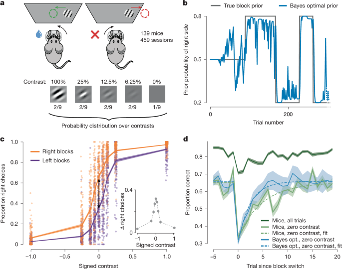 Brain-wide representations of prior information in mouse decision-making