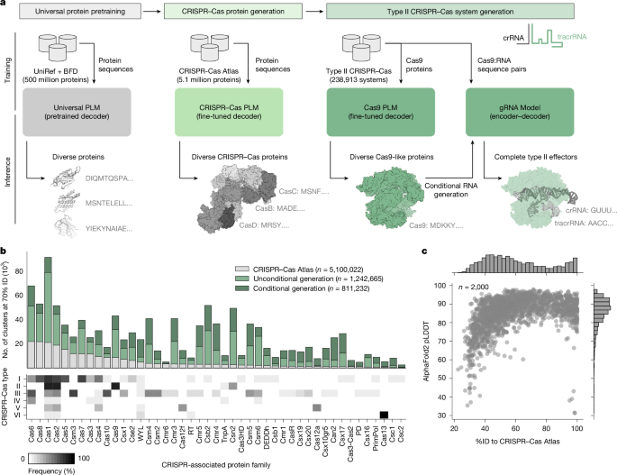 Revolutionizing Gene Editing: AI-Designed CRISPR-Cas Systems Show Unprecedented Precision