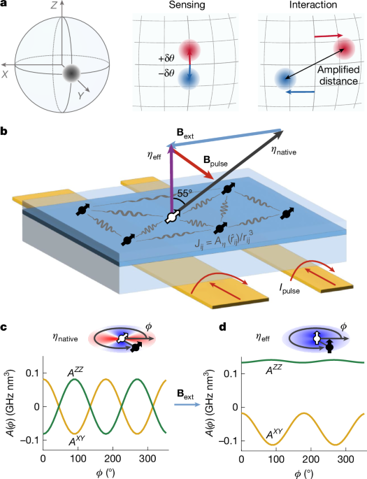 Signal amplification in a solid-state sensor through asymmetric many-body echo – Nature