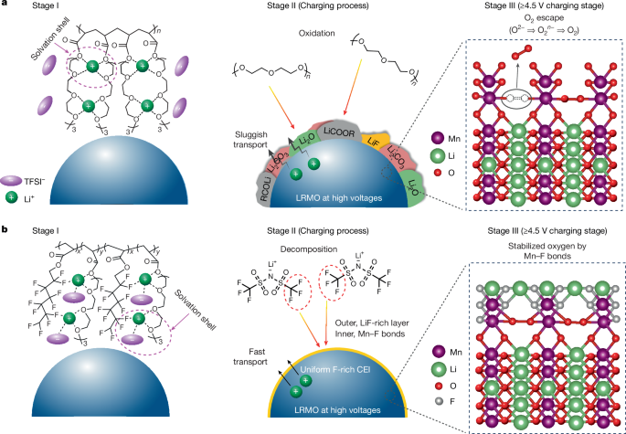 Tailoring polymer electrolyte solvation for 600 Wh kg1 lithium batteries - Nature