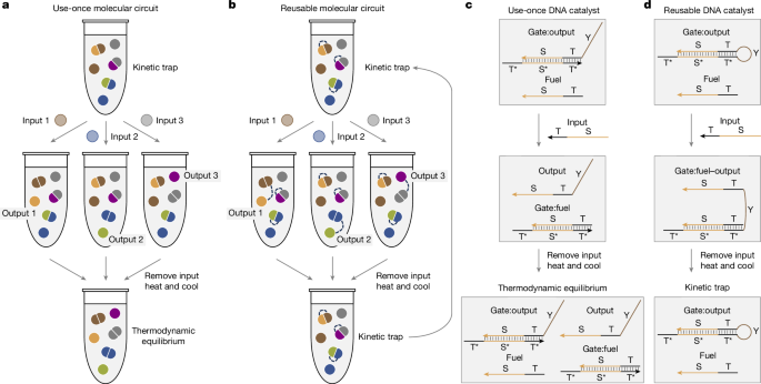 Heat-rechargeable computation in DNA logic circuits and neural networks – Nature