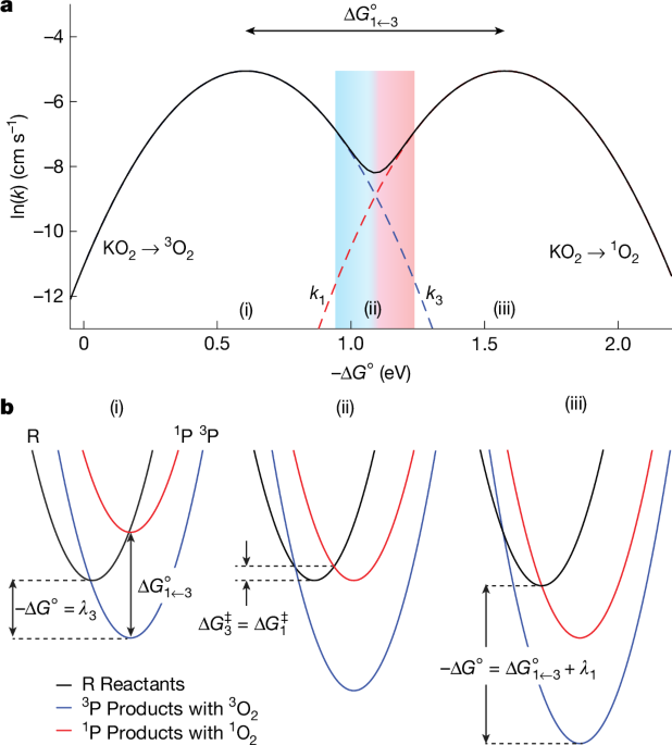 Marcus kinetics control singlet and triplet oxygen evolving from superoxide - Nature