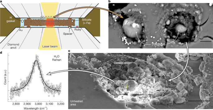Building wet planets through high-pressure magma–hydrogen reactions Building wet planets through high-pressure magma–hydrogen reactions