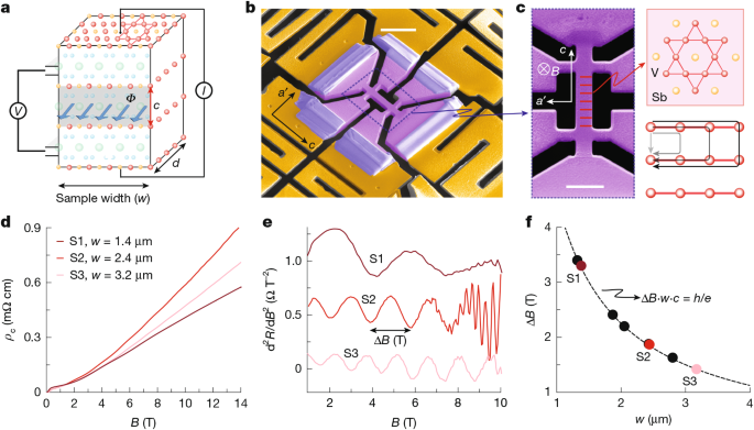 Many-body interference in kagome crystals Many-body interference in kagome crystals