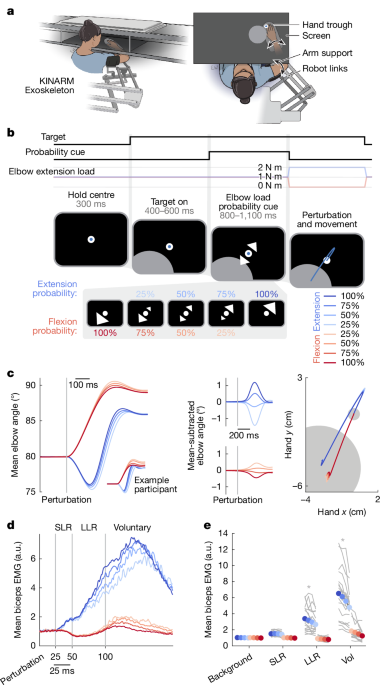 Sensory expectations shape neural population dynamics in motor circuits Sensory expectations shape neural population dynamics in motor circuits