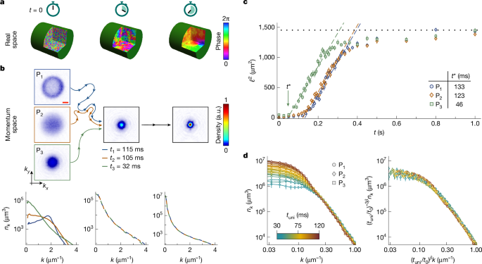 A universal speed limit for spreading of coherence