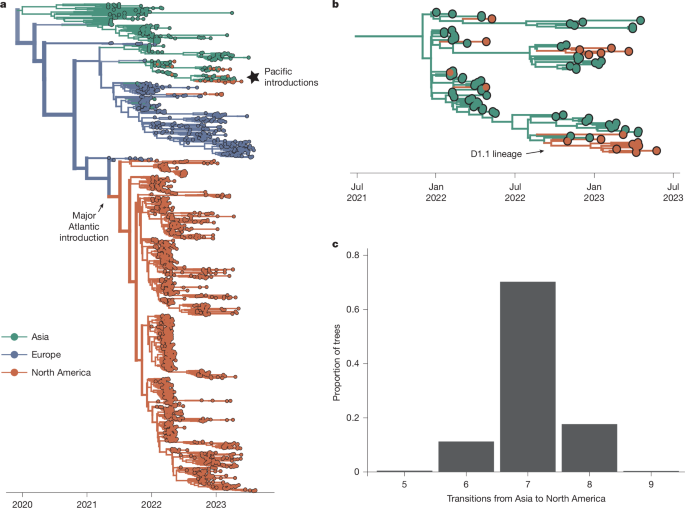 Ecology and spread of the North American H5N1 epizootic - Nature