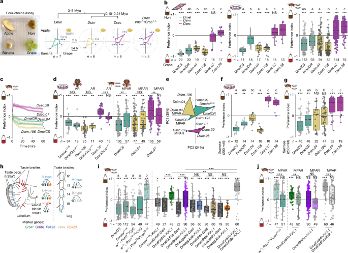 media.springernature.com image