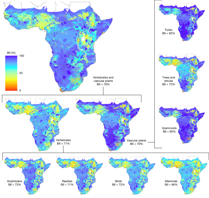 A place-based assessment of biodiversity intactness in sub-Saharan Africa