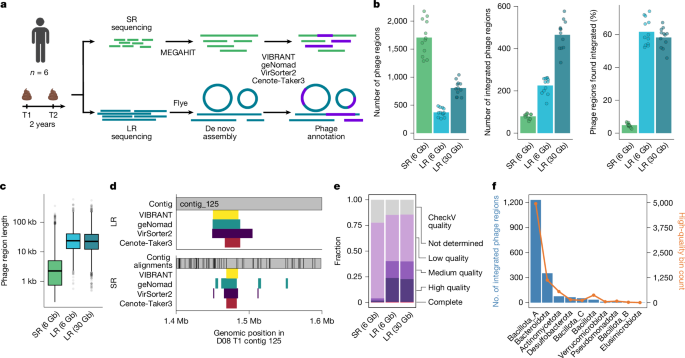 media.springernature.com image