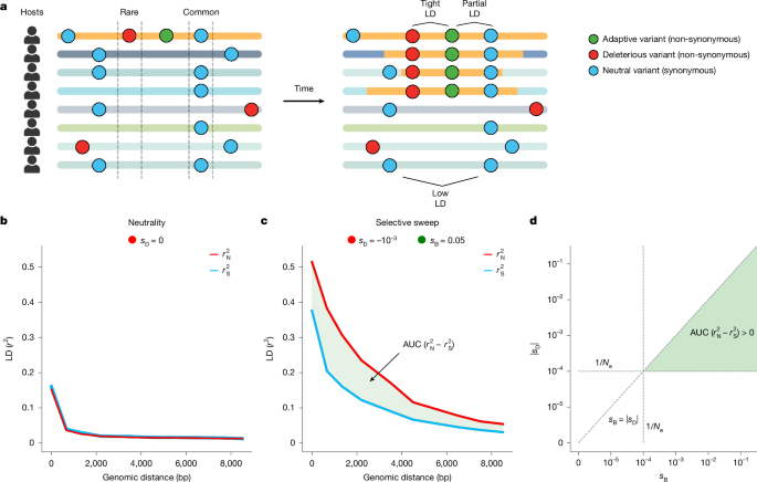 Gene-specific selective sweeps are pervasive across human gut microbiomes - Nature
