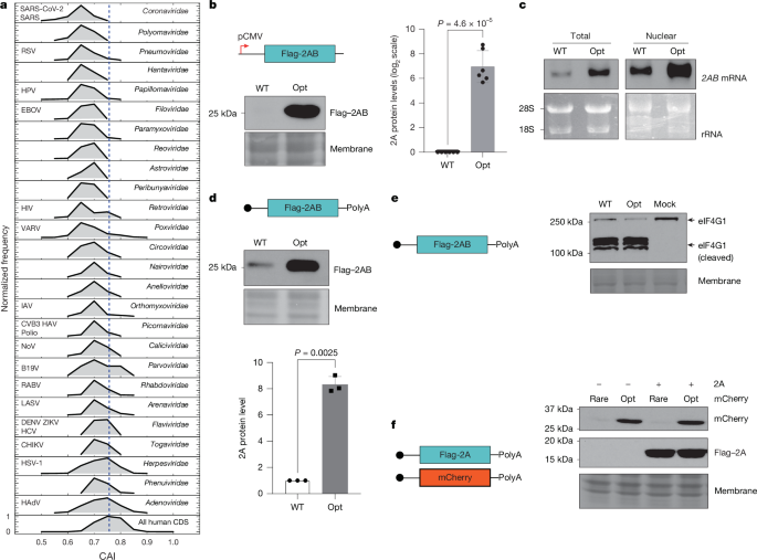 media.springernature.com image