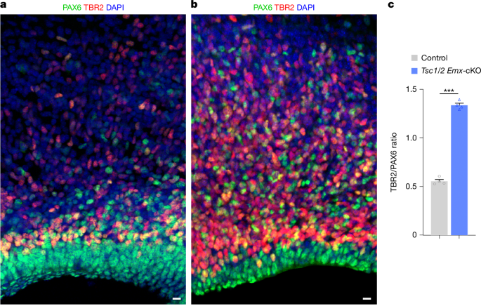 media.springernature.com image