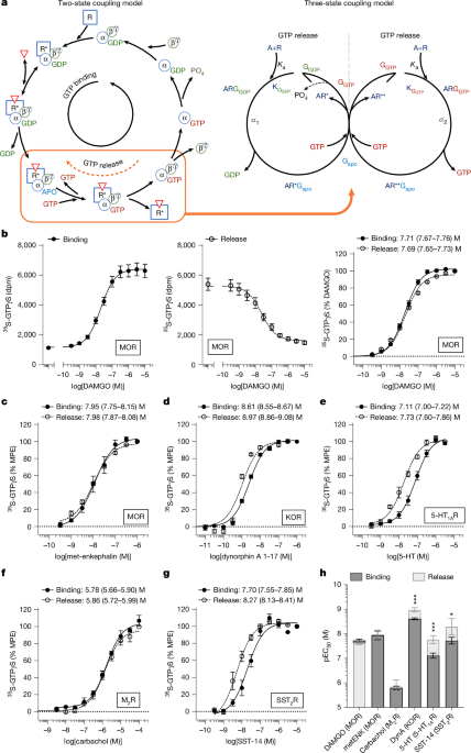 GTP release-selective agonists prolong opioid analgesic efficacy - Nature