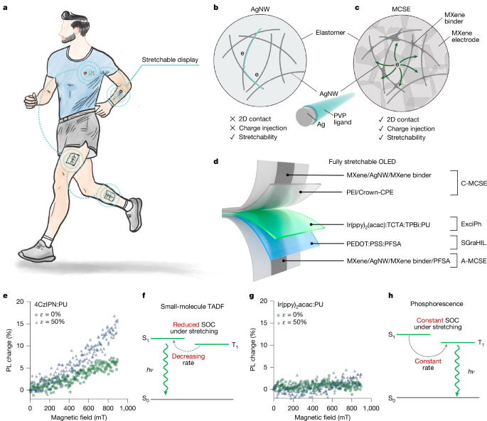 Exciplex-enabled high-efficiency, fully stretchable OLEDs