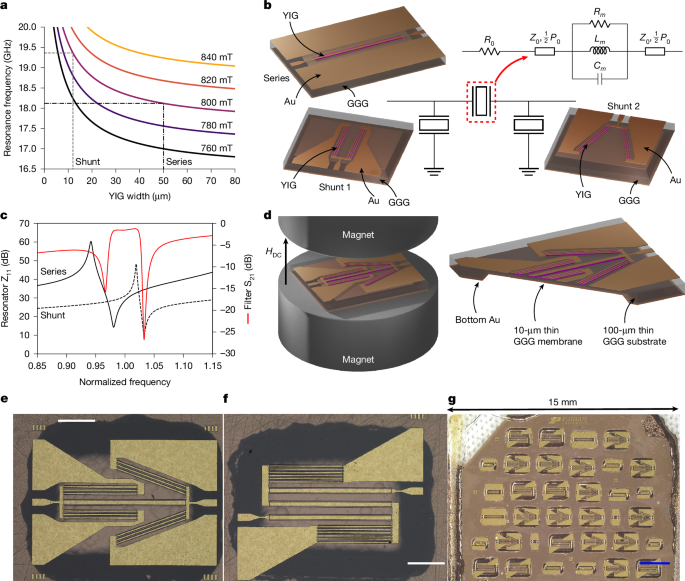 media.springernature.com image