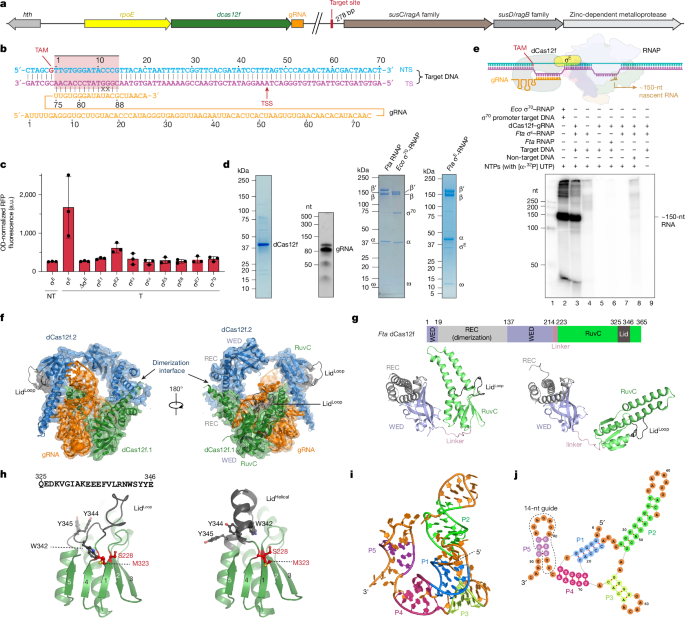 media.springernature.com image