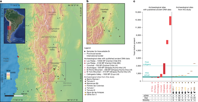 Local agricultural transition, crisis and migration in the Southern Andes - Nature