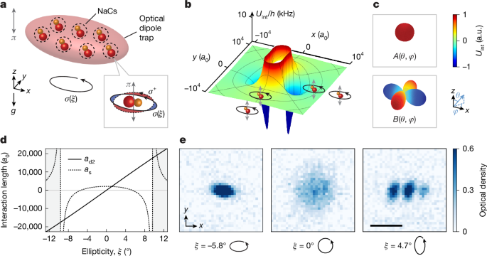 Observation of self-bound droplets of ultracold dipolar molecules - Nature