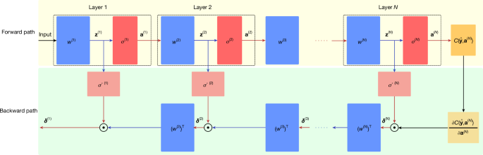 Integrated photonic neural network with on-chip backpropagation training - Nature